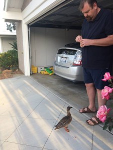 603730_10203791474772514_2483458375883484465_n